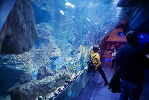 Visitors at an aquarium viewing an underwater tunnel filled with diverse marine life.